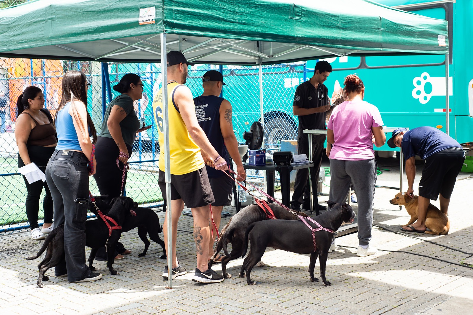 Arujá realiza cerca de 940 atendimentos em ações de bem-estar animal e meio ambiente no semestre