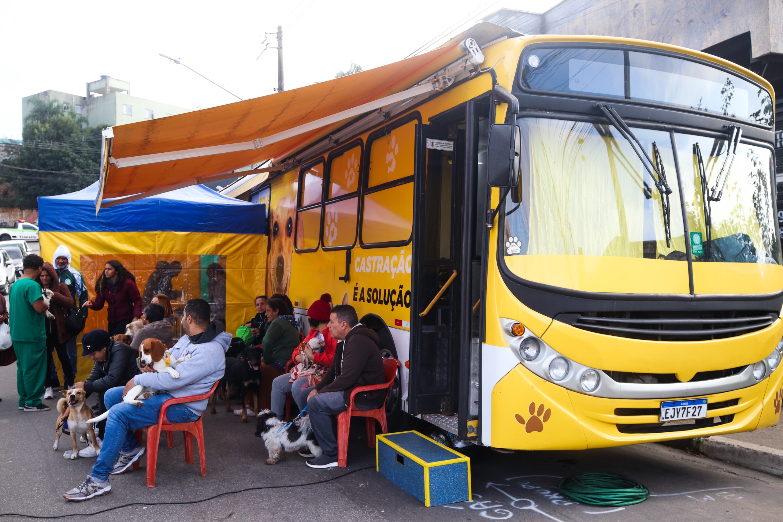 Mutirão de castração gratuita beneficia 200 cães e gatos no Parque São Francisco