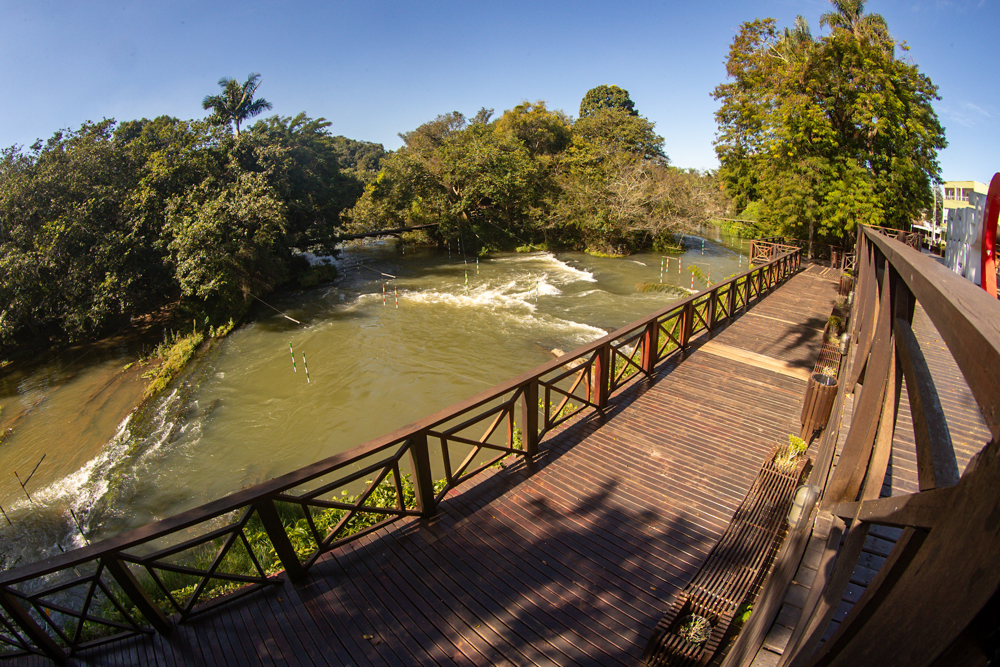Junho Verde em Guararema promove ações sobre clima, arborização e jardins medicinais